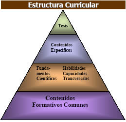 Estructura Curricular MK
